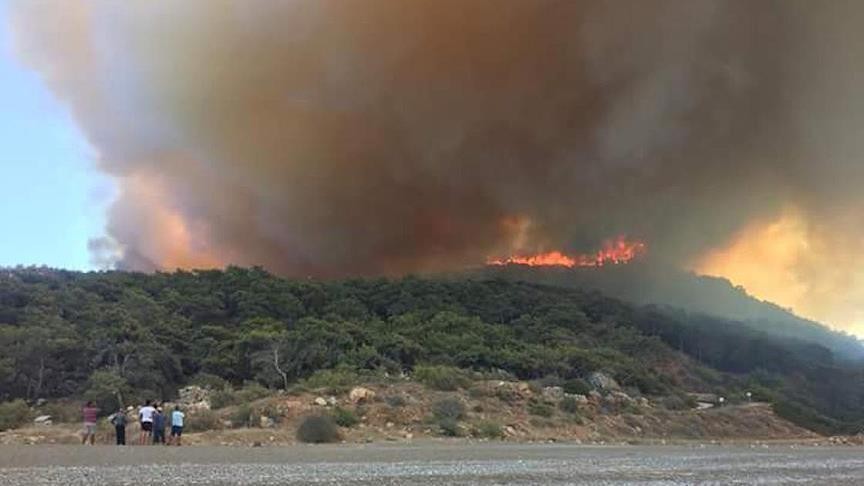 Antalya'da yangın söndürme çabaları aralıksız sürüyor