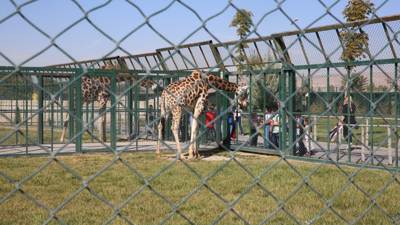 Kayseri Hayvanat Bahçesi ziyarete kapatıldı