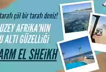 Kuzey Afrika'nın su altı güzelliği Sharm El Sheikh