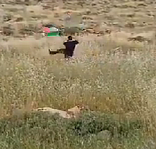 Filistin bayrağını hedef alması sonu oldu