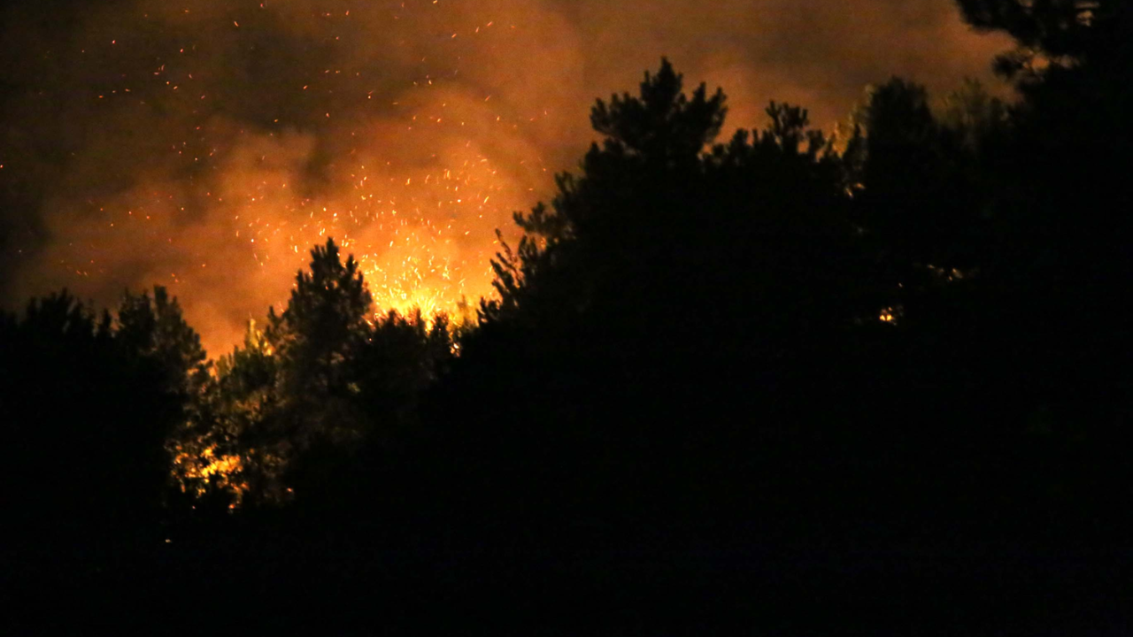 450 rakımlı Yaralıgöz Dağı'nda korkutan yangın