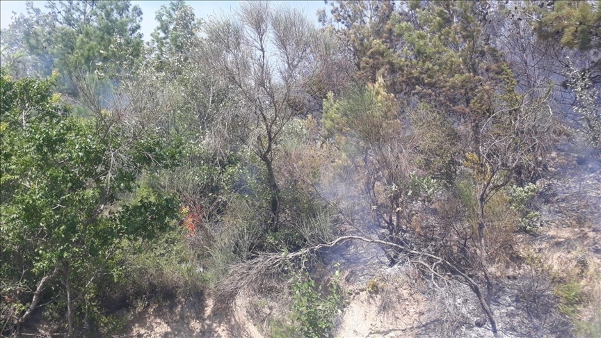 Osmaniye'de orman yangını! Havadan müdahale devam ediyor