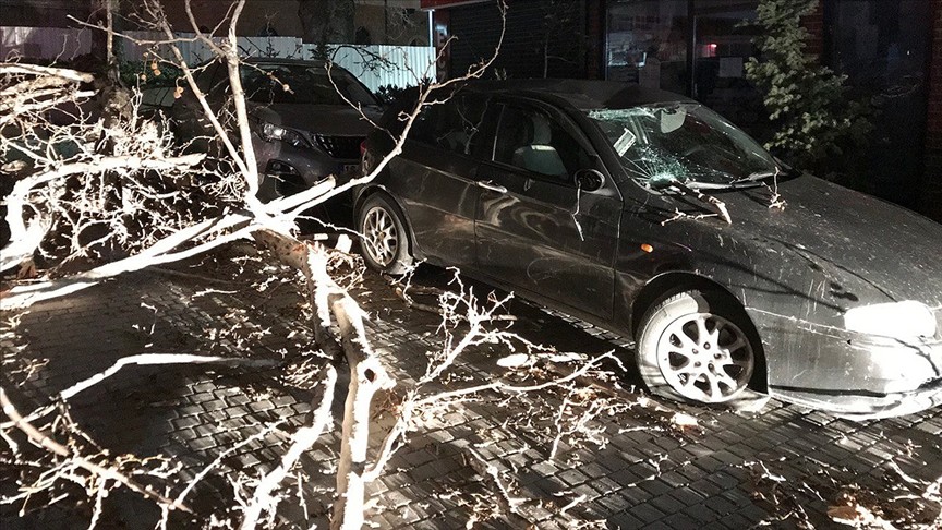 Bursa'da şiddetli lodos ağacı devirdi
