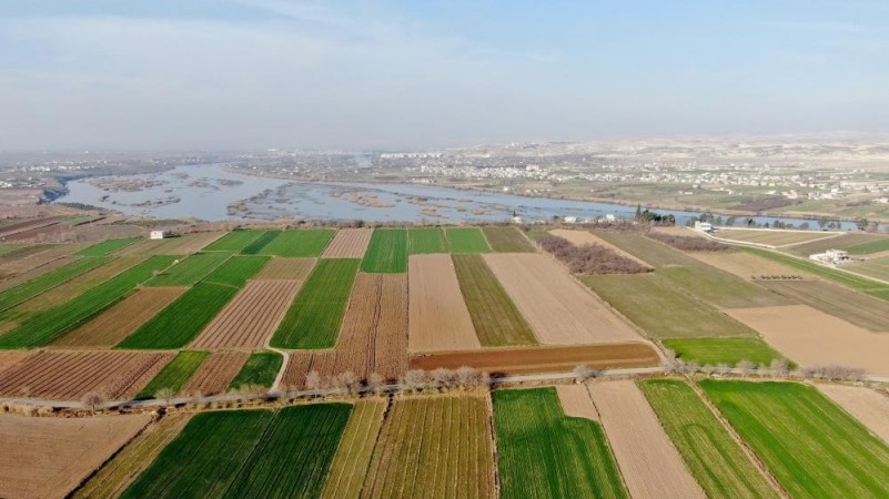 Gaziantep'te icradan satılık 52.300 m² fıstıklık