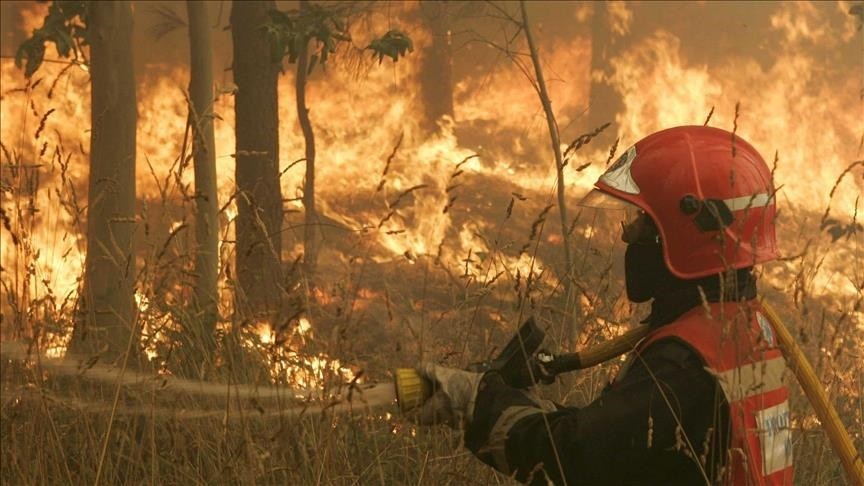 İspanya'da orman yangını 4 bin 600 hektarlık alanı kül etti