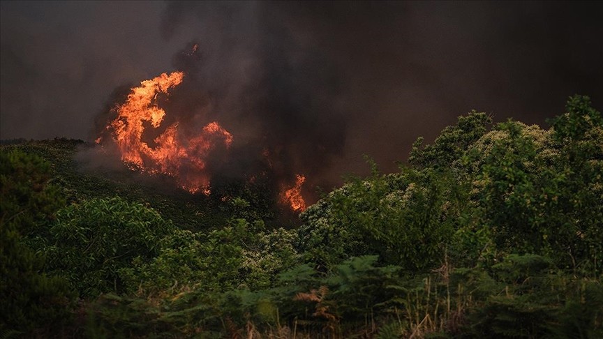 İspanya'daki orman yangını 5. gününde sürüyor