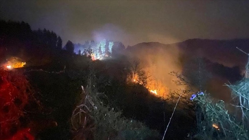 Rize'de orman yangını