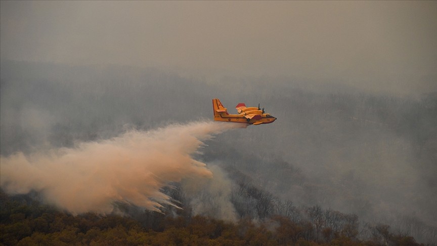 Fas'taki yangınlarda 55 hektar alan zarar gördü