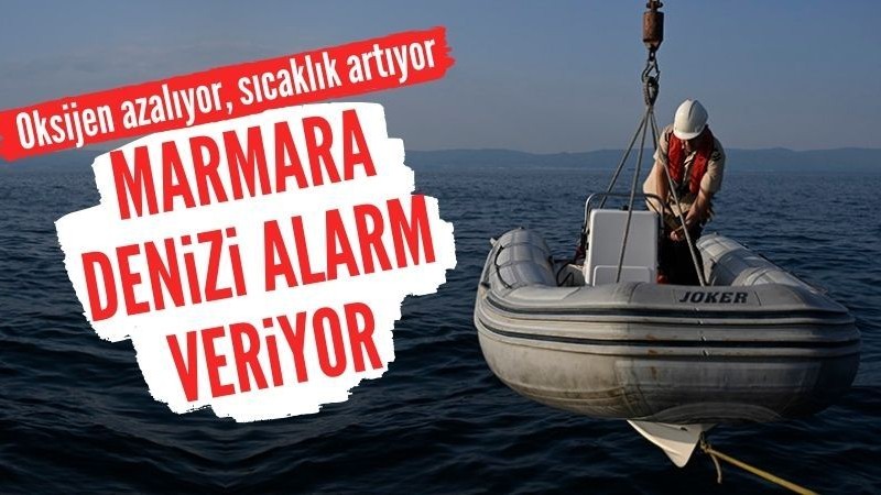 Marmara Denizi'nde oksijen azalıyor