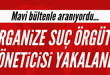 Organize suç örgütü yöneticisi İstanbul'da yakalandı
