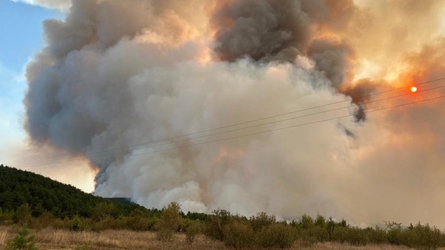 Kastamonu Taşköprü'de orman yangını