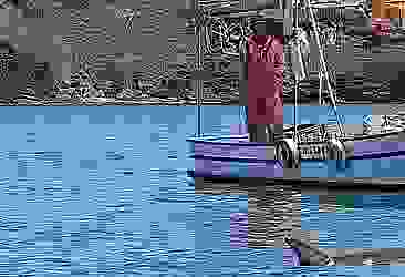Sinop'ta balıkçı tekneleri sezon öncesi denetlenecek