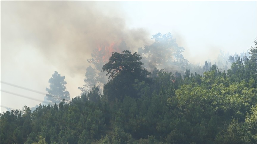 Sakarya'daki orman yangını söndürüldü