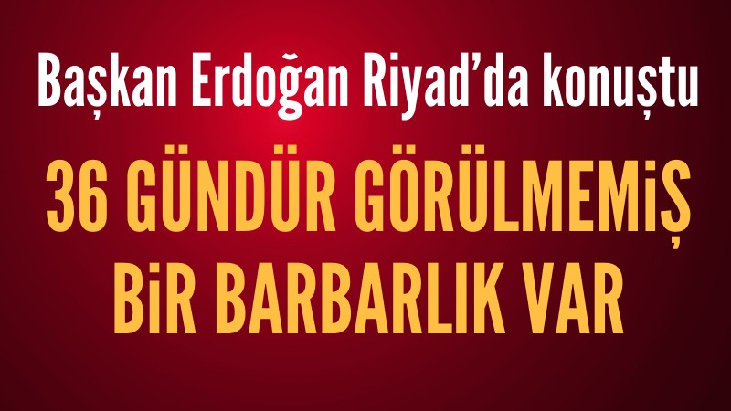 Başkan Erdoğan işgalci İsrail'i topa tuttu