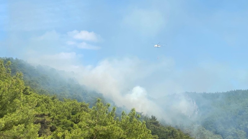 Ekipler müdahale ediyor! Çanakkale'de yangın