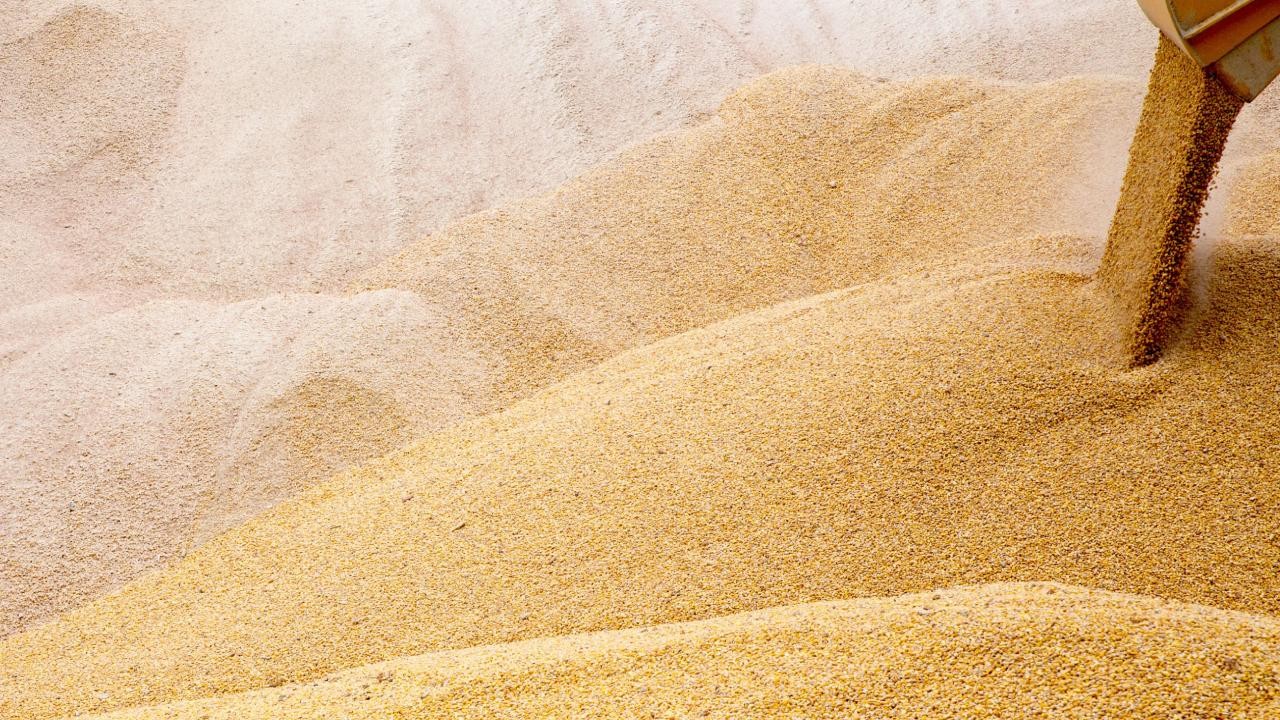 AB, Ukrayna'dan tahıl ithalatı kısıtlamasını uzattı