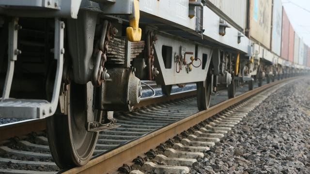 Sırbistan'da trenin çarptığı göçmenler hayatını kaybetti