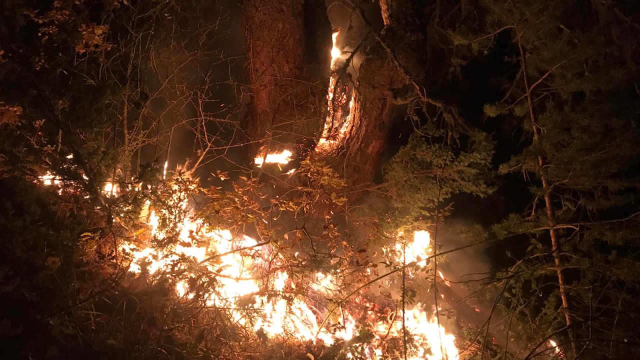 Kastamonu'da Kavak köyünde orman yangını
