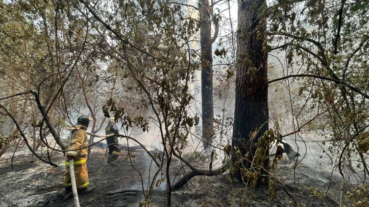 Kazakistan orman yangınıyla mücadele ediyor
