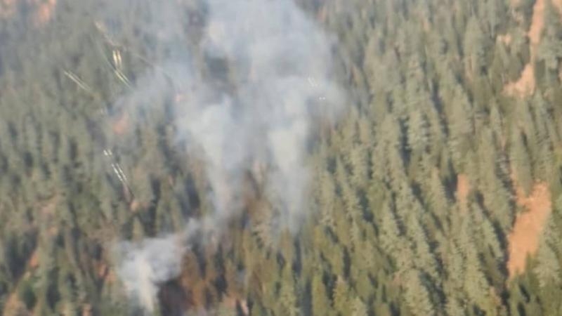 Osmaniye'de korkutan orman yangını