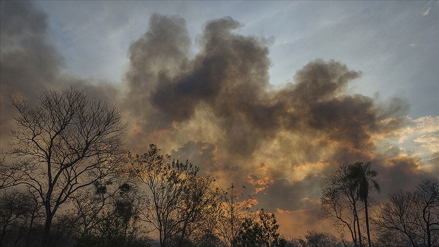 Amazonlarda yangınlar beş kattan fazla arttı