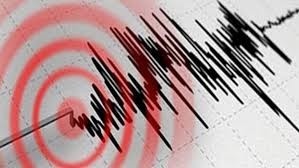 Muş'ta korkutan 3.8 büyüklüğünde deprem