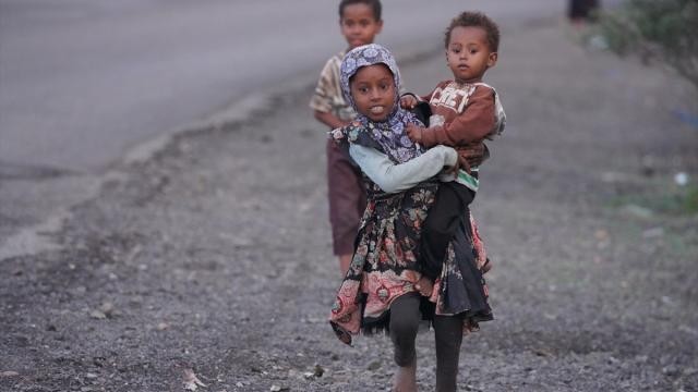 Uluslararası Yemen Heyeti'nin görevinin uzatılmamasına tepki