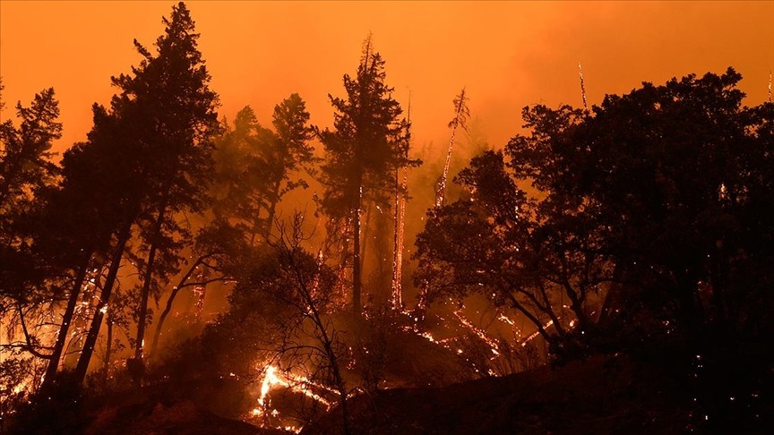 Rusya'nın orman yangınlarıyla mücadelesi devam ediyor