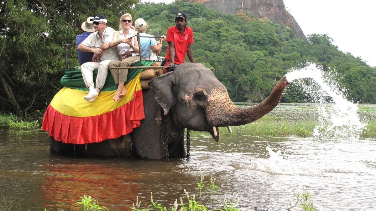 Sri Lanka'da fillerin çalıştırılmasına kısıtlama