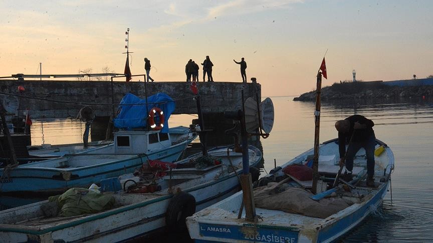 Balıkçılar Karadeniz'deki hamsi bereketini görüntüledi