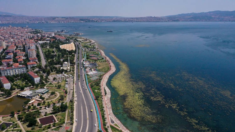 İzmir Bostanlı sahilinde yosun tabakası oluştu