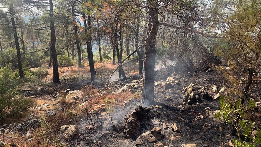 Muğla'daki 13 orman yangını kontrol altına alındı
