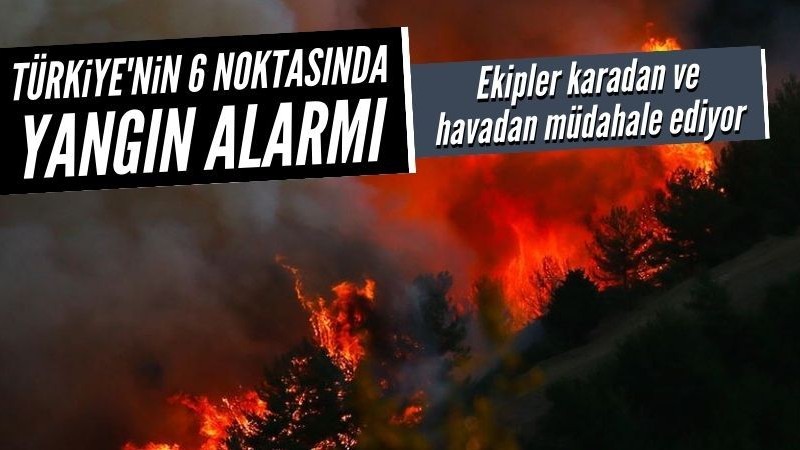 Türkiye'nin 6 ilinde yangın çıktı