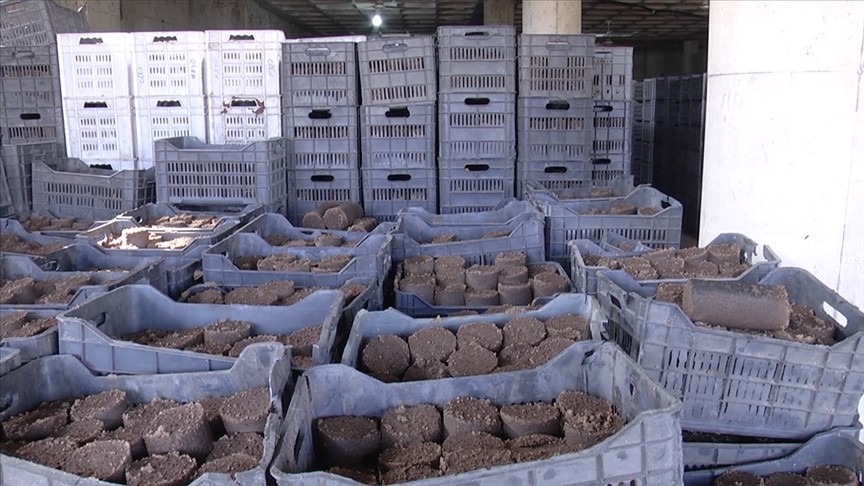 Lübnan'da zeytin çekirdeği evleri ısıtmada kullanılıyor
