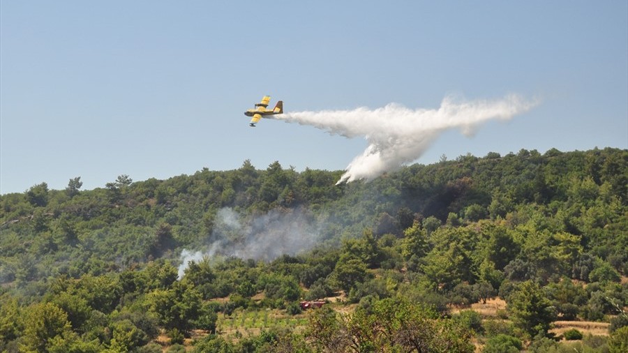 Çanakkale'de orman yangını! Havadan müdahale ediliyor