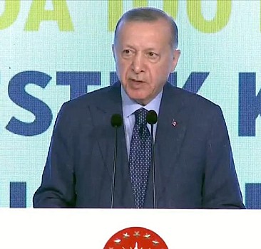 Başkan Erdoğan: Bizim tek derdimiz var...