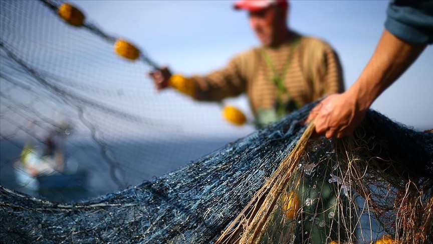 Sinoplu balıkçılar palamuttan umudu kesti
