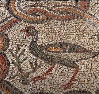 Hadrianopolis'te mozaikler ortaya çıkarıldı