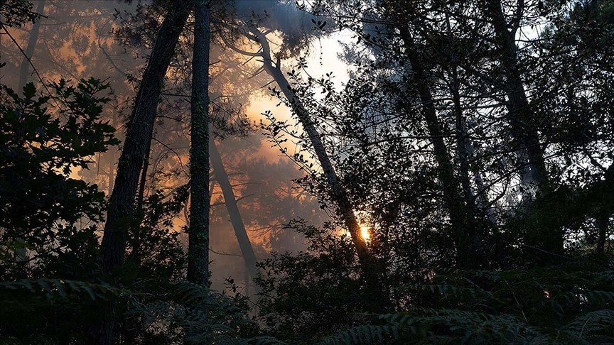 Fransa'da yangında 3 bin 400 hektar yeşil alan zarar gördü