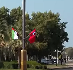 Erdoğan'ın ziyareti öncesi BAE caddeleri Türk bayraklarıyla donatıldı