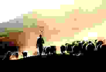 Bingöl'de kaybolan çoban bulundu