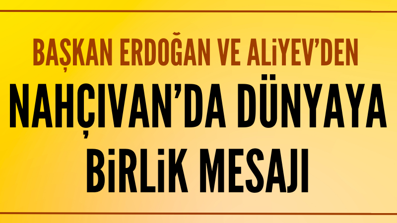 Cumhurbaşkanı Erdoğan ve Aliyev'den dünyaya birlik mesajı