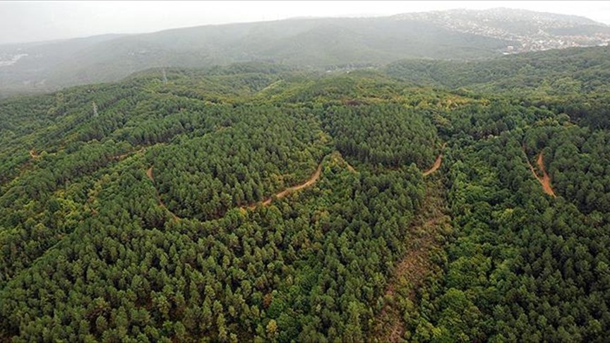 Kilis'te ormanlık alanlara girişler yasaklandı