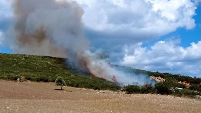 Çanakkale Biga'da korkutan yangın