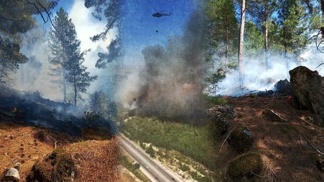 Adana'daki orman yangınları kontrol altına alındı
