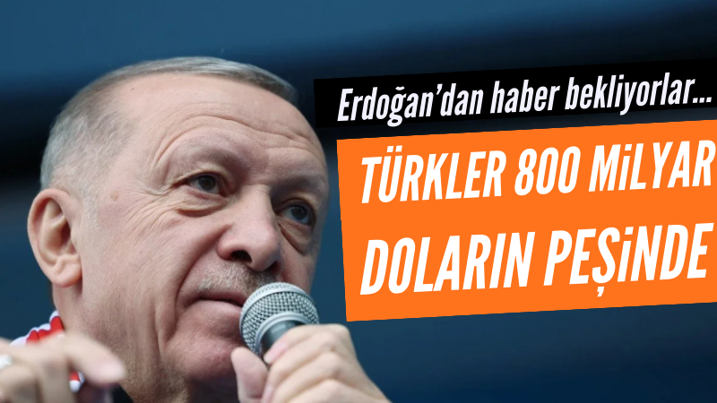 Türkler 800 milyar doların peşinde!