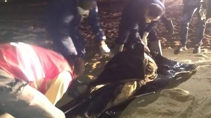 27 göçmenin cesedi sahile vurdu