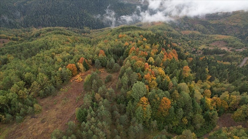 Kastamonu ormanlarında sonbahar ve kış güzelliği bir arada yaşanıyor