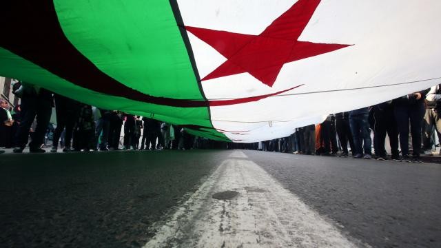 Cezayir erken yerel seçime gidiyor