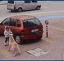 Sokak köpeği tek gördüğü küçük kıza saldırdı